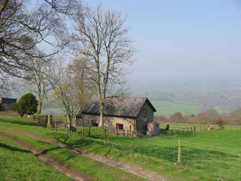 Hafod in the sun.